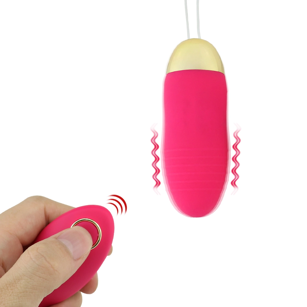 Factory Silicone USB Charging Vagina Clitoral Remote Control Vibrator Egg Sex Love Toy for Women