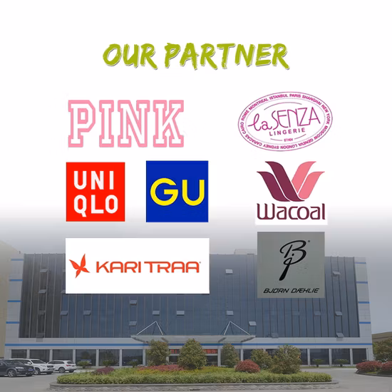 シームレスな男性ナイロン ボクサー ランジェリー